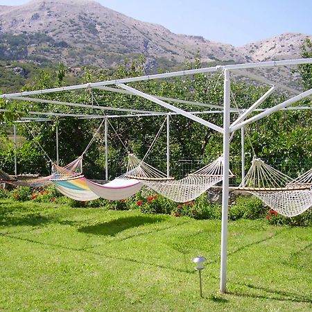 Guest House Darinka Draga Bašćanska Eksteriør bilde