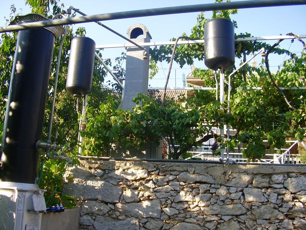 Guest House Darinka Draga Bašćanska Eksteriør bilde